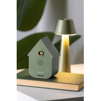 Nástenné kukučkové hodiny Modern Cuckoo Karlsson KA6095GR, 12cm